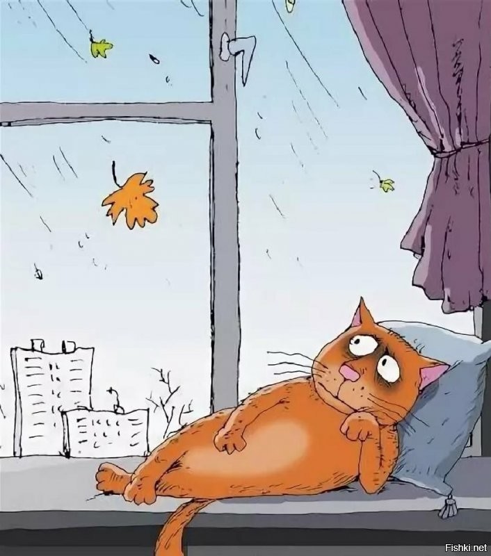 Солянка от 16.09.2020
