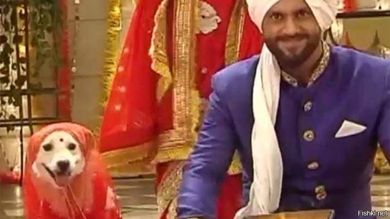 Солянка от 16.09.2020