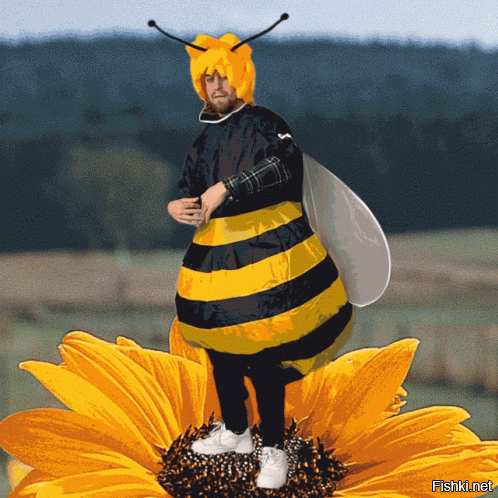 Солянка от 16.09.2020