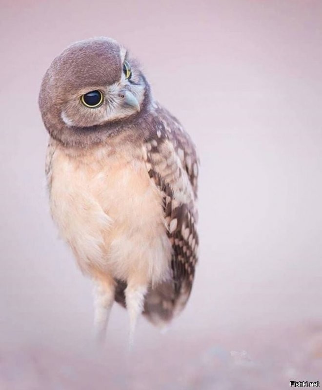 Солянка от 16.09.2020