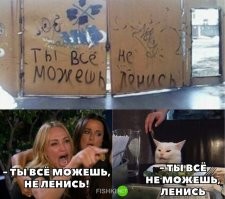 Прикольные и смешные картинки
