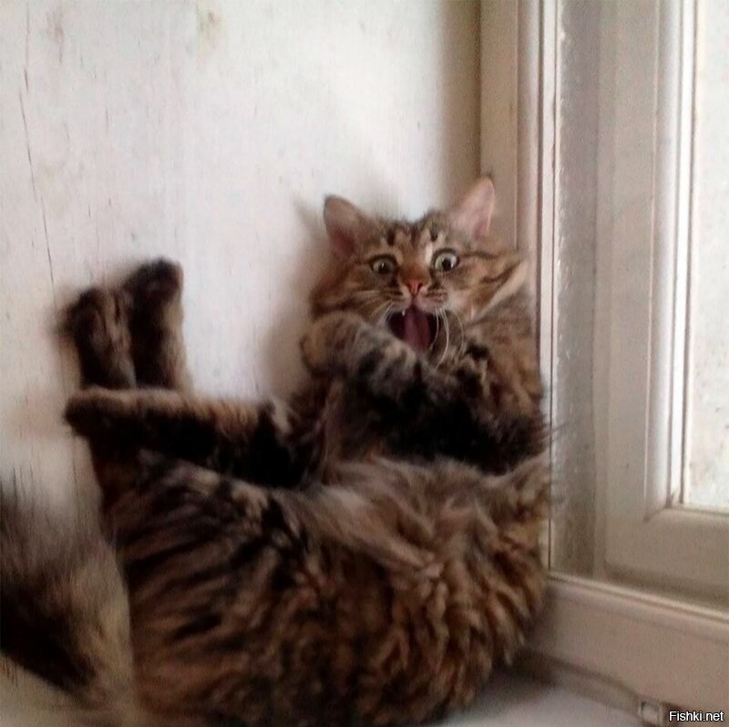 Солянка от 16.09.2020