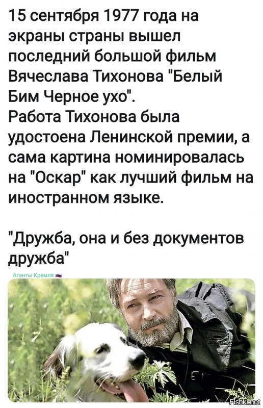Политические комментарии из инета