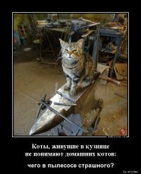 Когда наконец встретил достойного противника