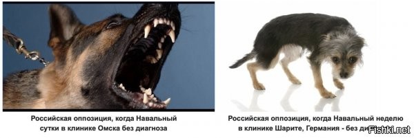 Слева неправильная картинка. Должна быть такая: