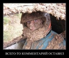 Прикольные и смешные картинки