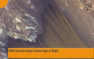 На Марсе есть вода и порой даже в жидком виде сезонно. Там ещё есть карстовые пещеры в которых при сочетании некоторых факторов вполне может ютиться жизнь. Ну либо это будет перспективное место для базы колонистов, чтоб не насыпать тонны грунта на модули, в попытке защититься от радиации. И там, в пещерах куда больше шансов найти жизнь или заняться локальным тераформингом.
А вот с Венерой так просто не получится, парящие станции это утопия однозначно. Можно конечно остудить планету путём бомбардировки астеройдами из пояса Копейра, одновременно начав разводить в верхних слоях специальные бактерии которые будут перерабатывать пары серной кислоты выделяя вместо этого кислород и воду. Но, по самым скромным расчётам - это займёт несколько сотен лет и потребует огромных технических ресурсов. Поэтому Марс - ближайшая (несколько десятков лет) цель для колонизации человеками, а вот Венера скорее всего - навсегда останется уделом автоматических станций, которые короткий промежуток времени (пока их не разъест, не расплавит или не раздавит атмосфера) смогут передавать человечеству какие-то данные от туда.
Хотя, мы далеко замахиваемся, для обкатки технологий и решений, неплохо бы на Луне запилить нечто вроде тренировочной базы по выживанию вне родной планеты. И только потом думать чё там на Марсе строить.
Эх, хотелось бы дожить и посмотреть на колонизацию Солнечной системы своими глазами.