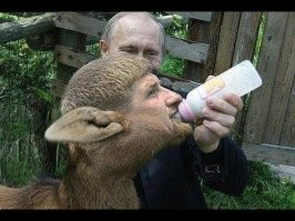 Кадыров отреагировал на видео с мытьем ног неизвестных в православном источнике