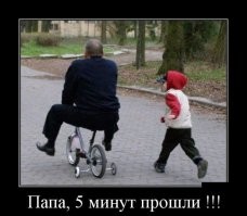 Прикольные и смешные картинки