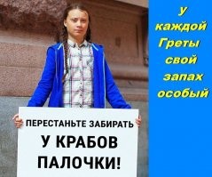 Как зоозащитники чуть не уничтожили последних амурских тигров