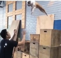 Красиво пошел!