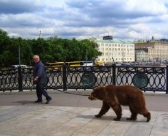 национальные особенности, вот у нас, например, медведи
