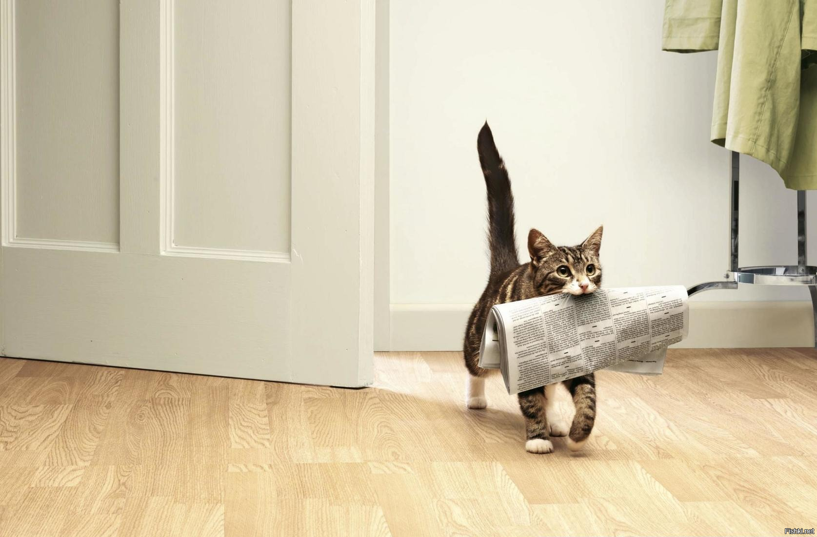 Солянка от 17.09.2020