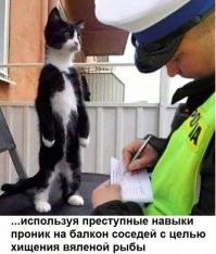 Картинки с надписями, открытки и скрины из коллекции