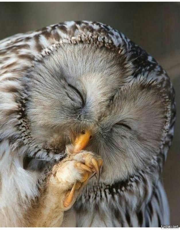 Солянка от 17.09.2020