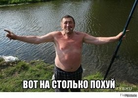 В стране всё настолько замечательно, что лишние 42 млн рублей правительство потратит на ворон