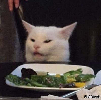 Солянка от 17.09.2020