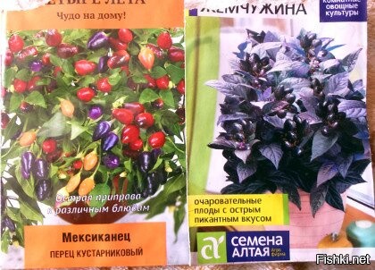 Всем приятного