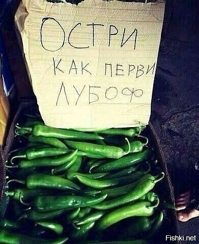 Солянка от 17.09.2020