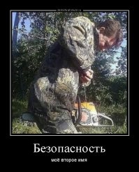 Прикольные и смешные картинки