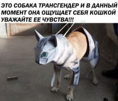 "Гарри Поттера" выгнали из книжного магазина ради толерантности