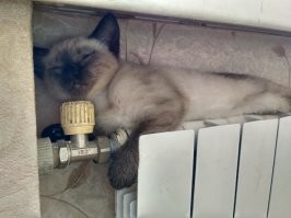 Смешные картинки