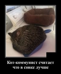Вот вам "Дорогие товарищи!" кино от Андрея Кончаловского