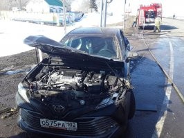 ""В кузове «Газели» перевозили около десяти голов молодняка крупного рогатого скота. Часть животных погибла. Произошёл разлив жидкости, которая не представляет опасности для людей,   сообщили в пресс-службе ГИБДД по Республике Башкортостан...""