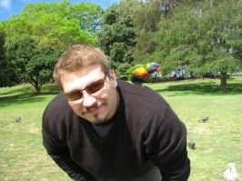 У нас в Сиднее вот такие вместо воробьёв везде летают: