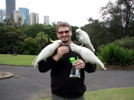 Ну хз, к тебе может и приходят гномы. Ко мне только попугаи...