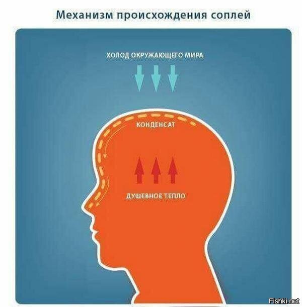 НЕ нормальная, физиология называется "патологическая" и на ней преподы рассказывают о механизме образования соплей на морозе.