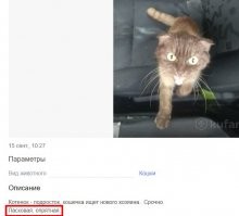 С добрым утром!