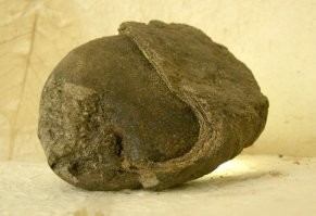 Надо было, а вот это - 
амбра (желудочный камень кашалота) - морская тематика все-таки