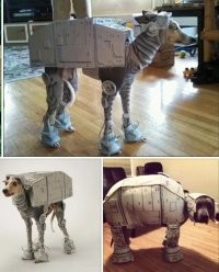 Намешалось