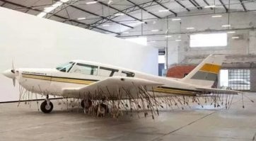 Под Москвой пенсионеру почти удалось завалить самолёт, который разлетался над его участком