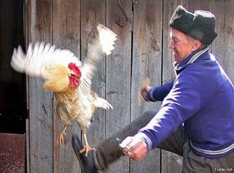 Прям оч в тему))))