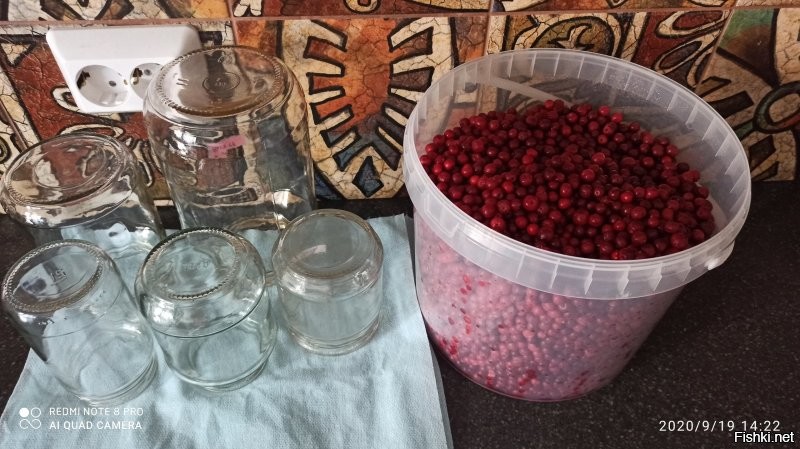 наше вам с кисточкой)))