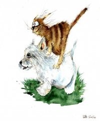 Картинка в тему :    :)