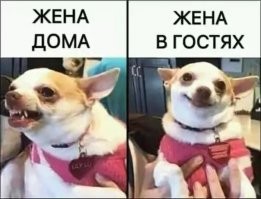 Прикольные и смешные картинки