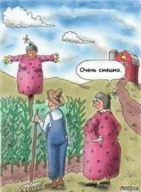 Дачный юмор