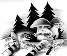 Не кормите грибов в организме