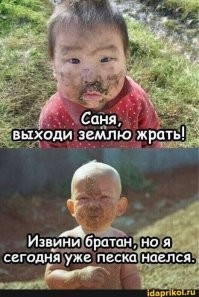 Прикольные и смешные картинки