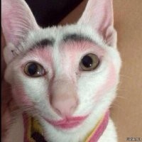 Гениальные портреты знаменитостей от легендарного Филиппа Халсмана