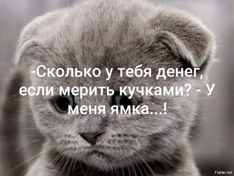 Солянка от 21.09.2020