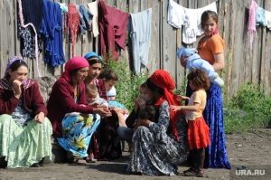 Они одобряют!