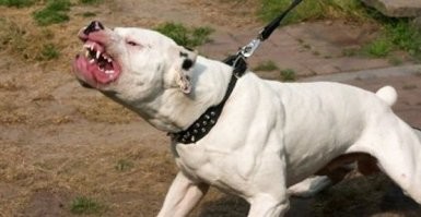 Да мило! Но я бы не забывал кто перед нами....