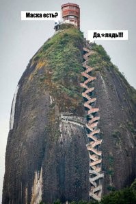 Прикольные и смешные картинки