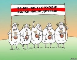 Желающих стать польским быдлом - в стойло!