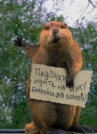 Бобруйск советский. Часть 1