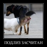 Путлер доволен...